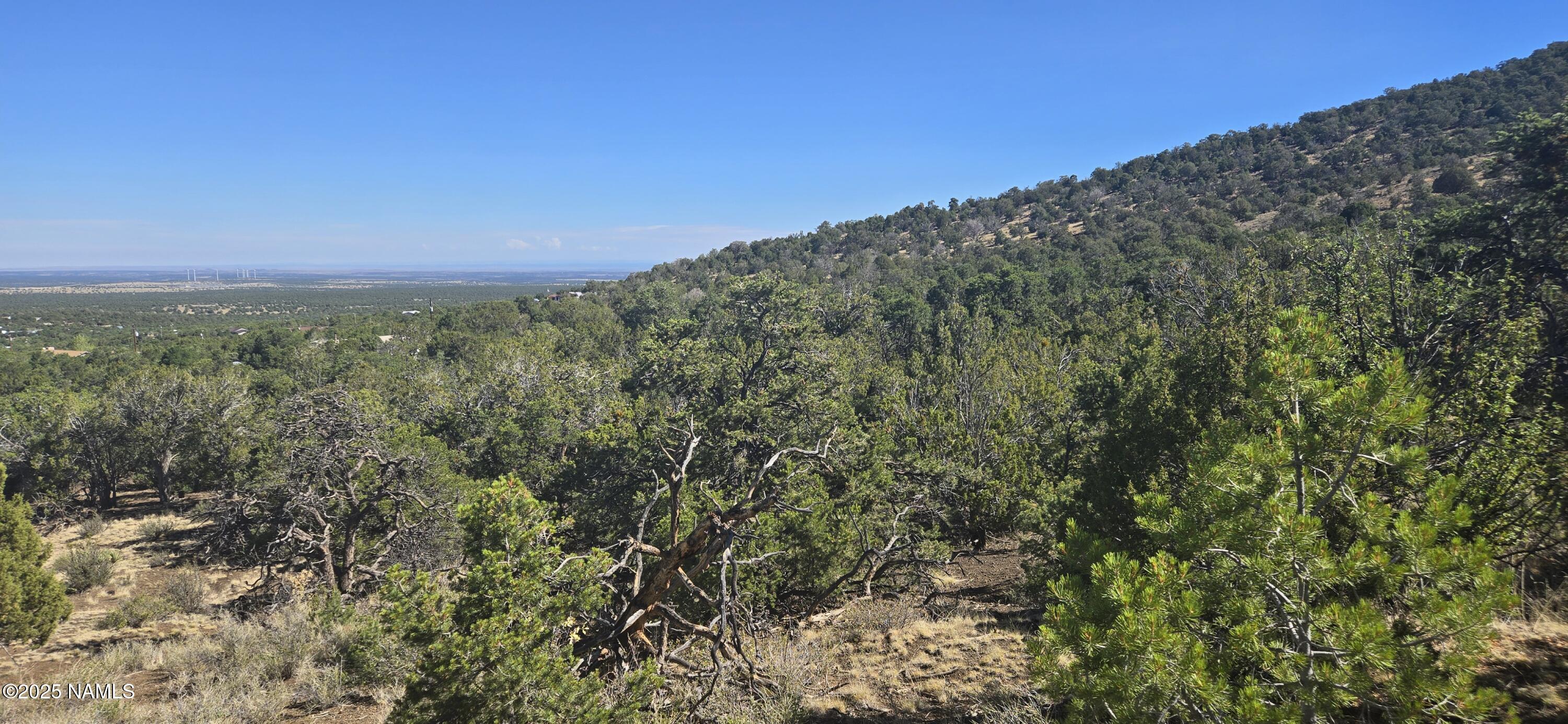 20202016 T No Name Road Williams, AZ 86046 - Photo 2 of 15 20250816_093445