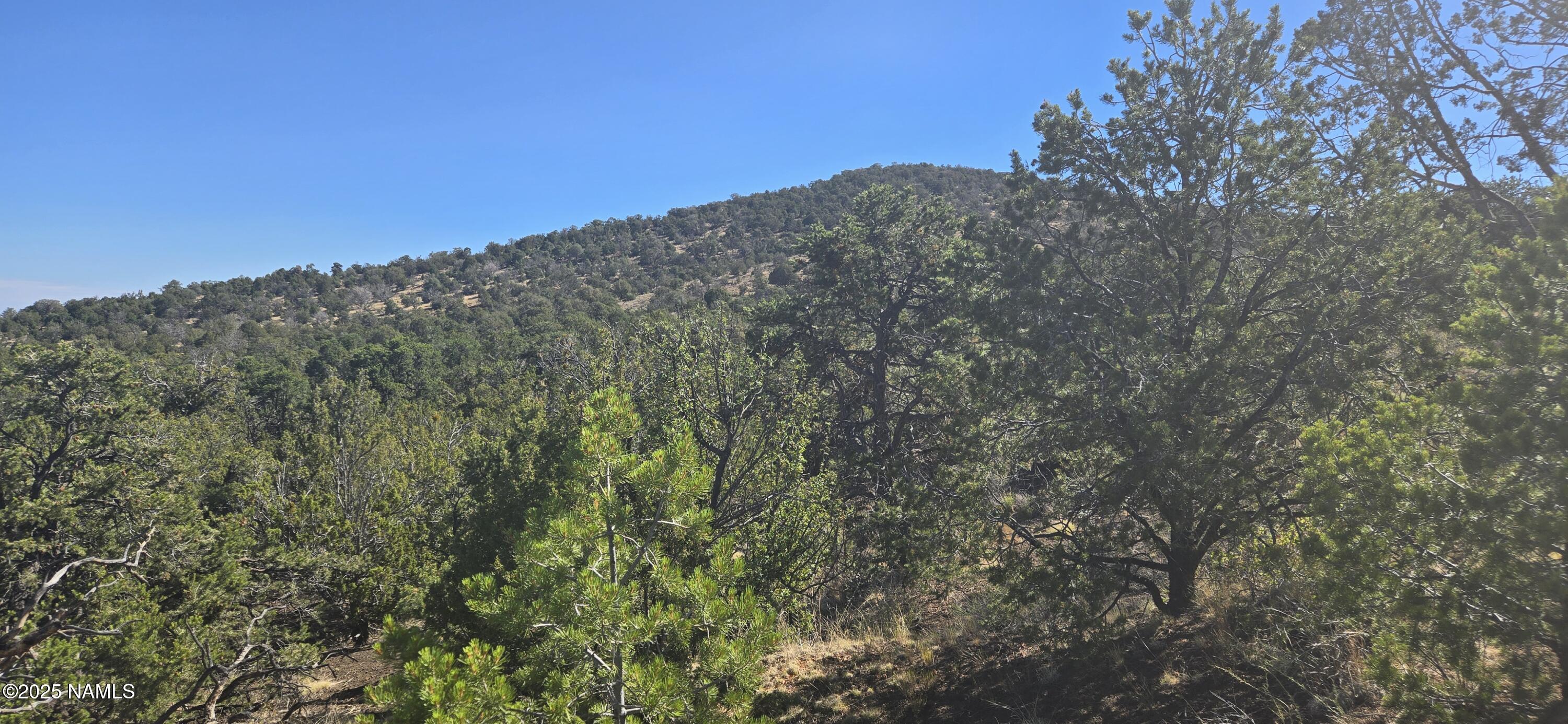 20202016 T No Name Road Williams, AZ 86046 - Photo 3 of 15 20250816_093448