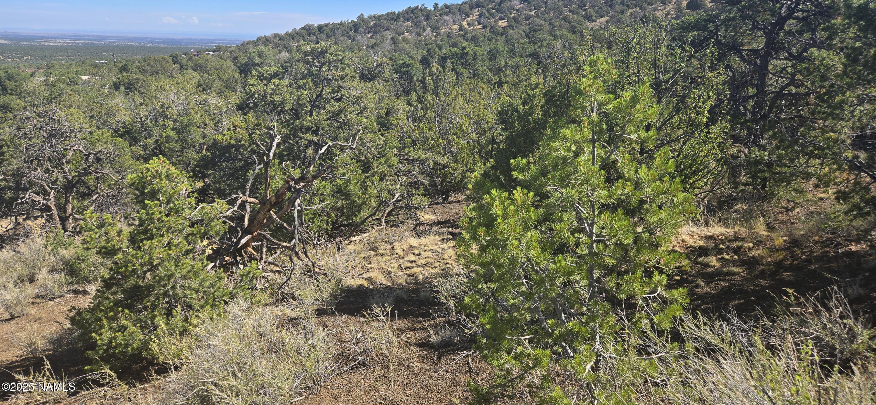 20202016 T No Name Road Williams, AZ 86046 - Photo 4 of 15 20250816_093453