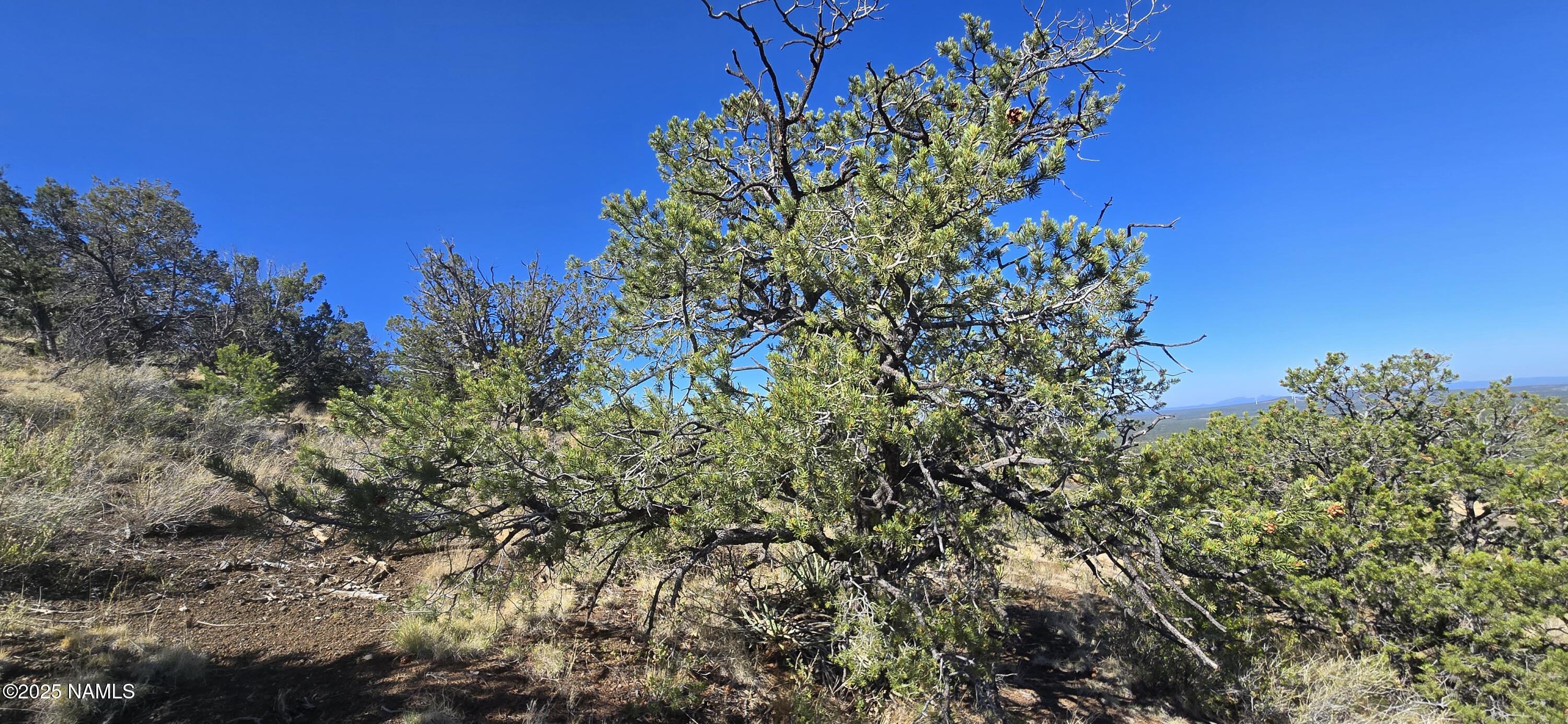 20202016 T No Name Road Williams, AZ 86046 - Photo 5 of 15 20250816_093501