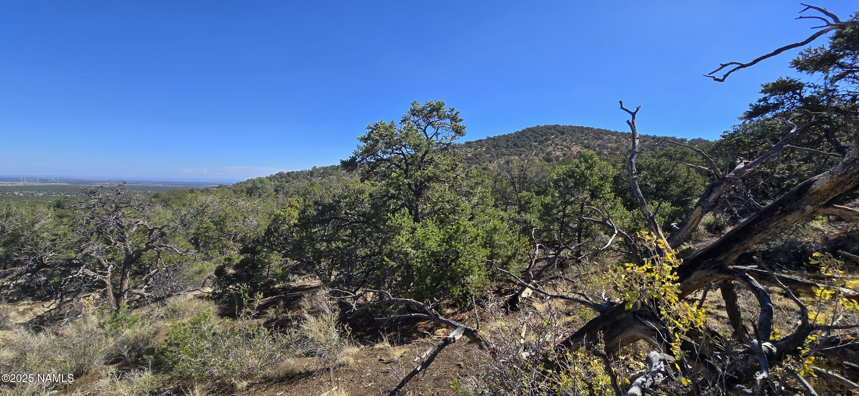 20202016 T No Name Road Williams, AZ 86046 - Photo 7 of 15 20250816_093550