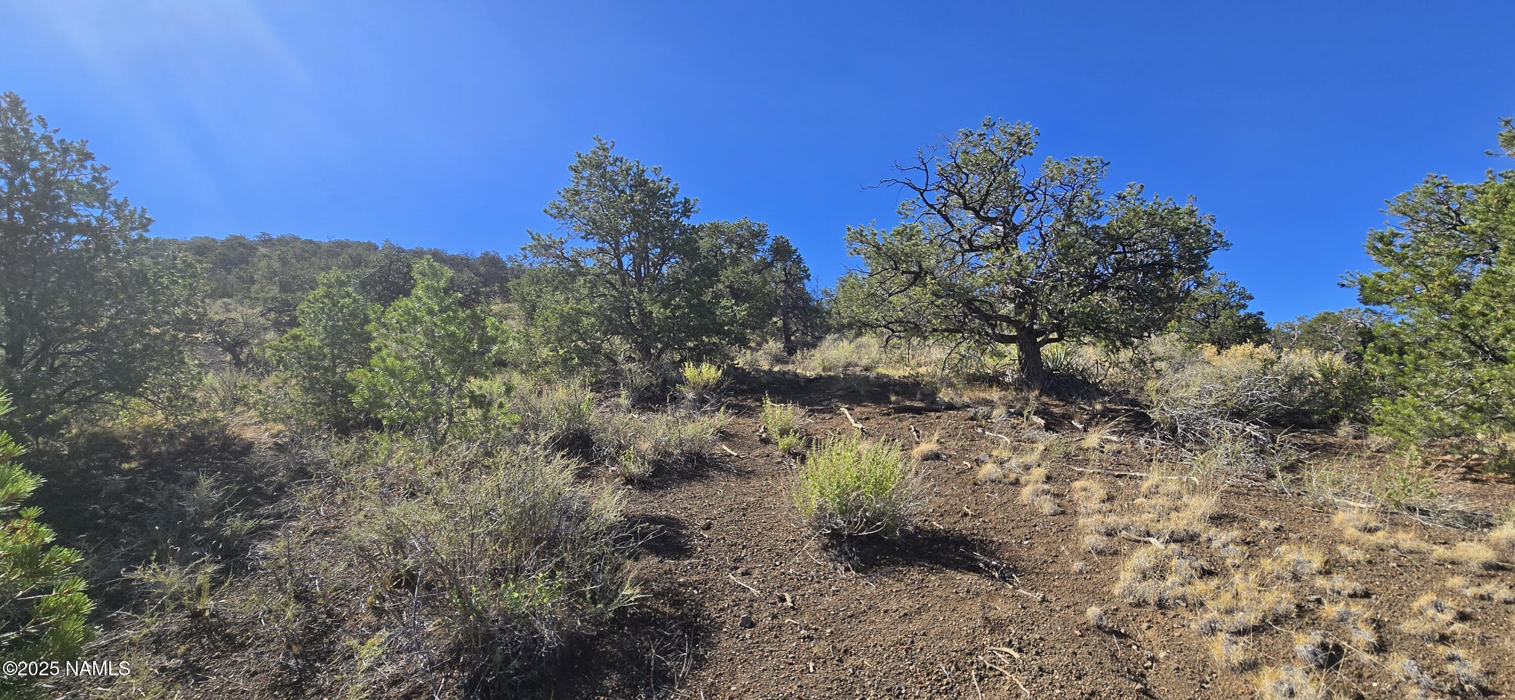 20202016 T No Name Road Williams, AZ 86046 - Photo 9 of 15 20250816_093601