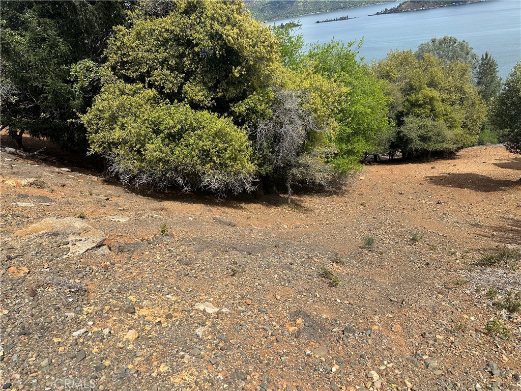 3340 Chaparral Lane Kelseyville, CA 95451 - Photo 3 of 12 a view of a backyard of a house