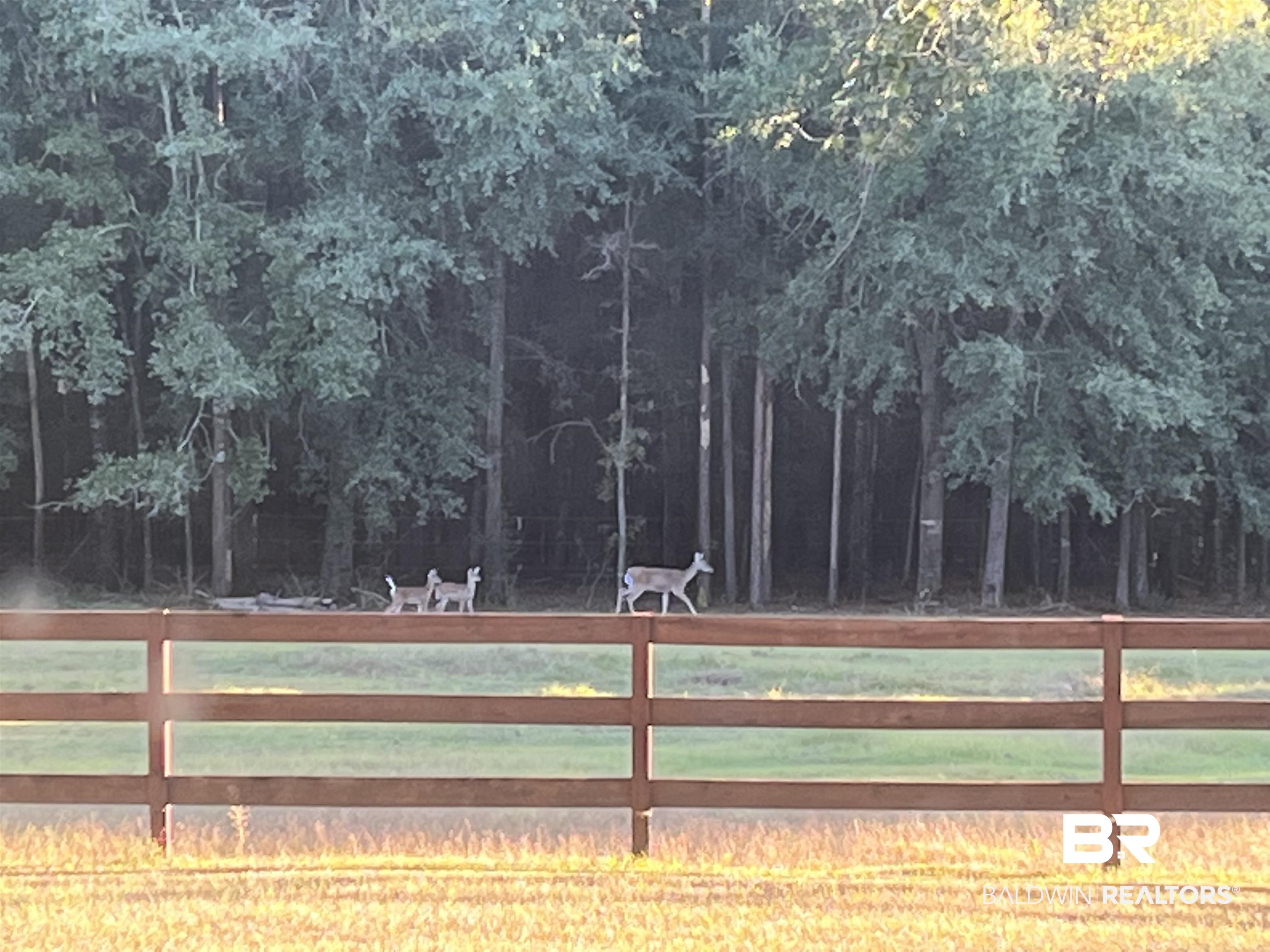 24250 Hack Road Bay Minette, AL 36507 - Photo 81 of 88 Enjoy watching wildlife right outside your back door. The property has 3 Acres of Fenced pasture.