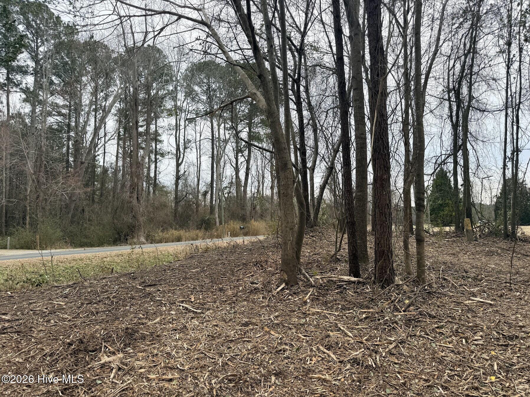 227 Langley Road Chocowinity, NC 27817 - Photo 8 of 16 Photo 9 02.25.2026