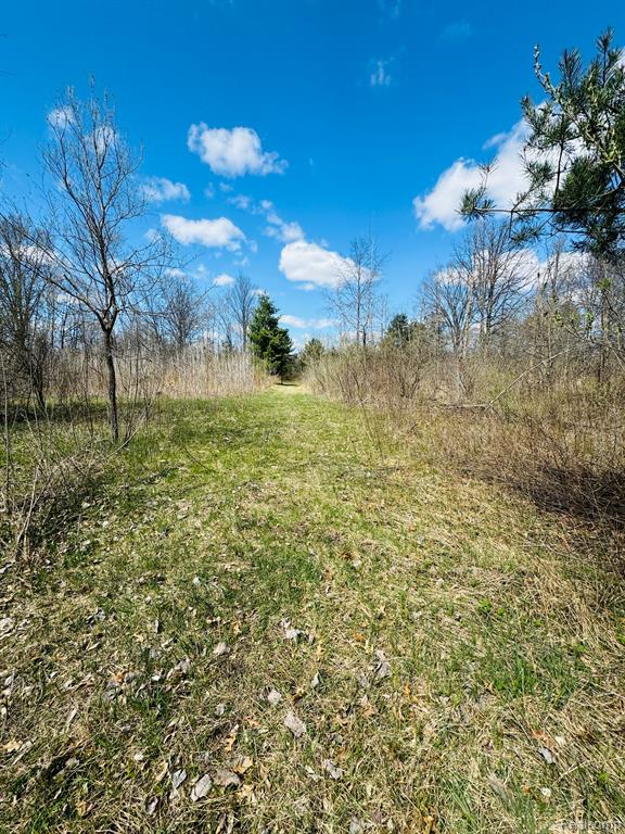4148 West Isabella Road Shepherd, MI 48883 - Photo 5 of 16