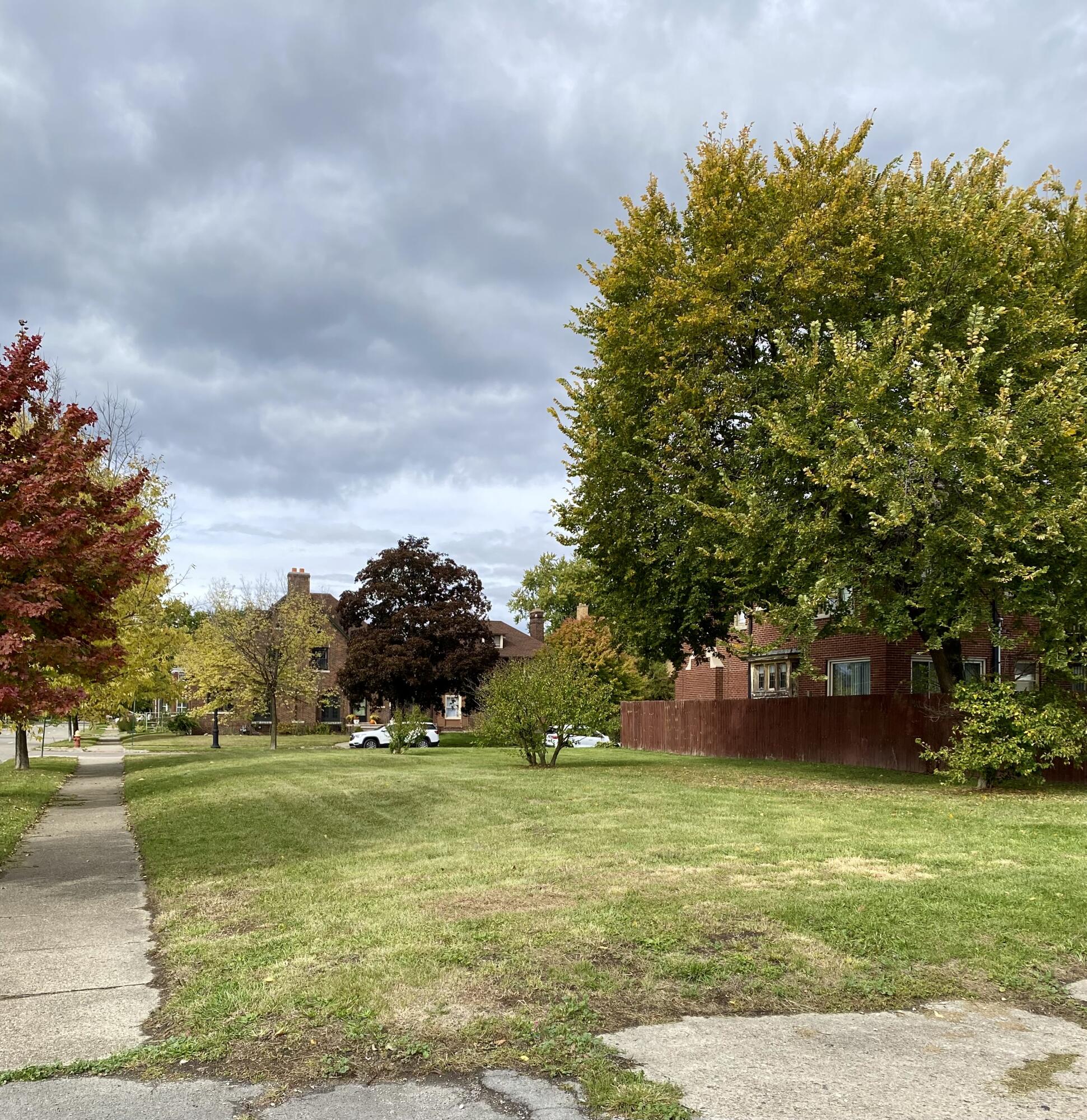 2081 Edison Street Detroit, MI 48206 - Photo 4 of 4 IMG_7309