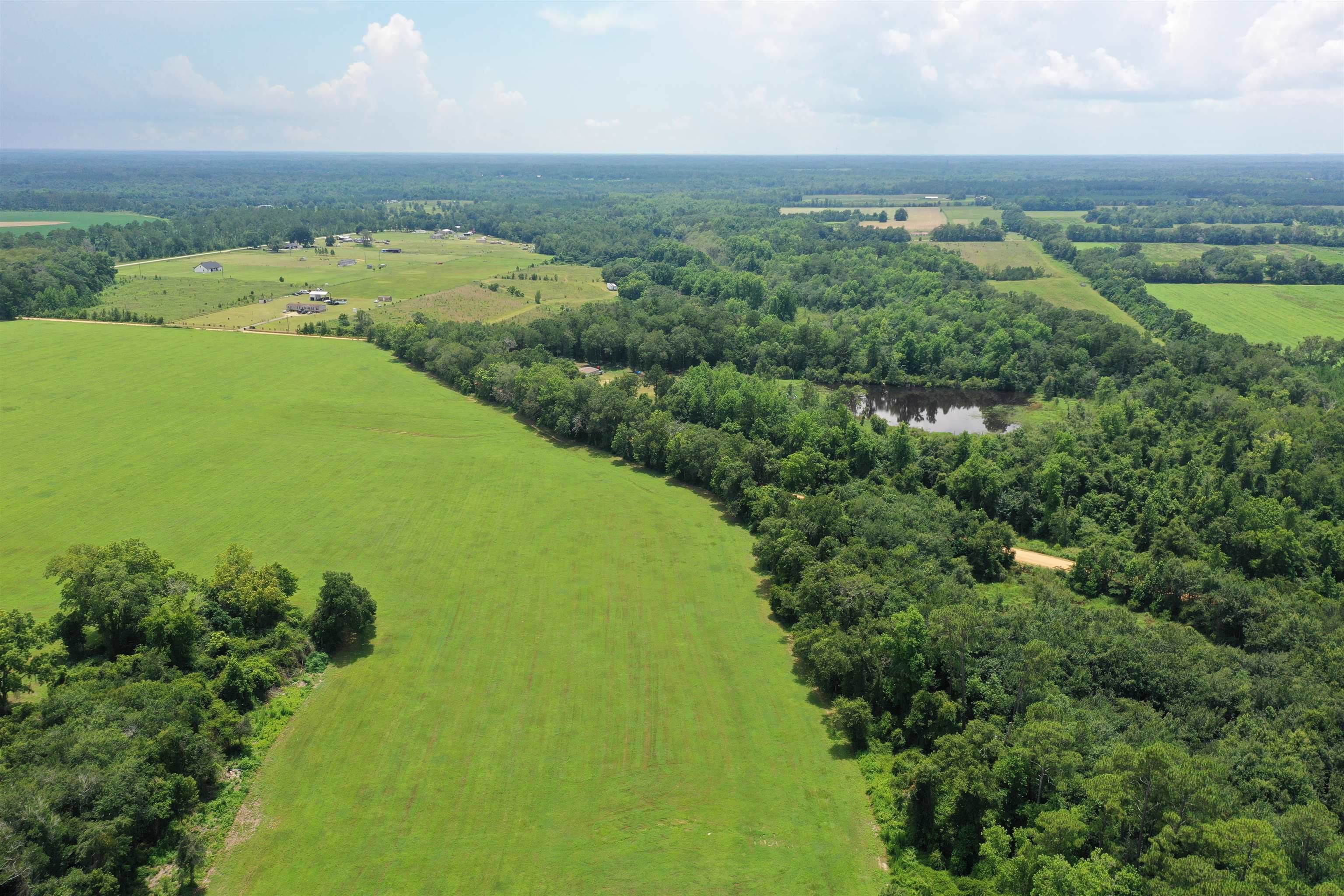 Xx Xx Max Herrin Road Quincy, FL 32352 - Photo 12 of 46