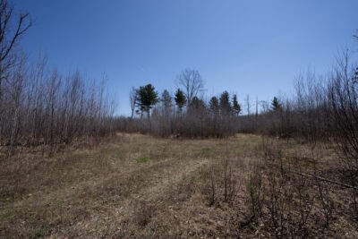 Xxx East Beauregard Lake Road Gordon, WI 54838 - Photo 26 of 35