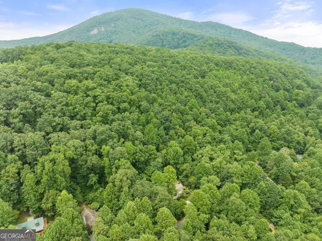 a view of a lush green forest with a mountain