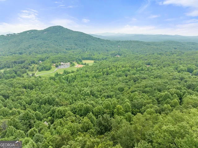 a view of a lush green hillside and a houses