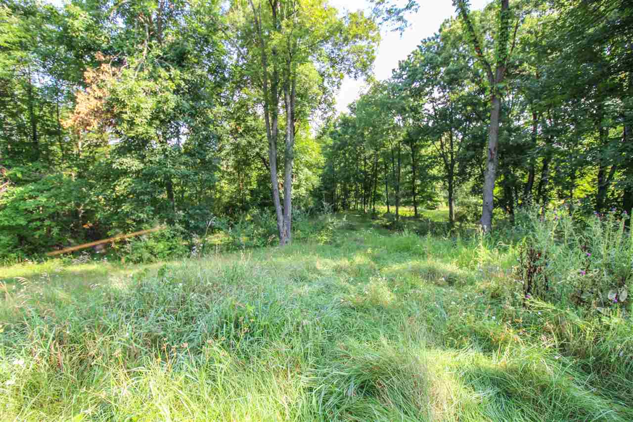 1 1/2 1/2 Mile Road Athens, MI 49011 - Photo 11 of 20