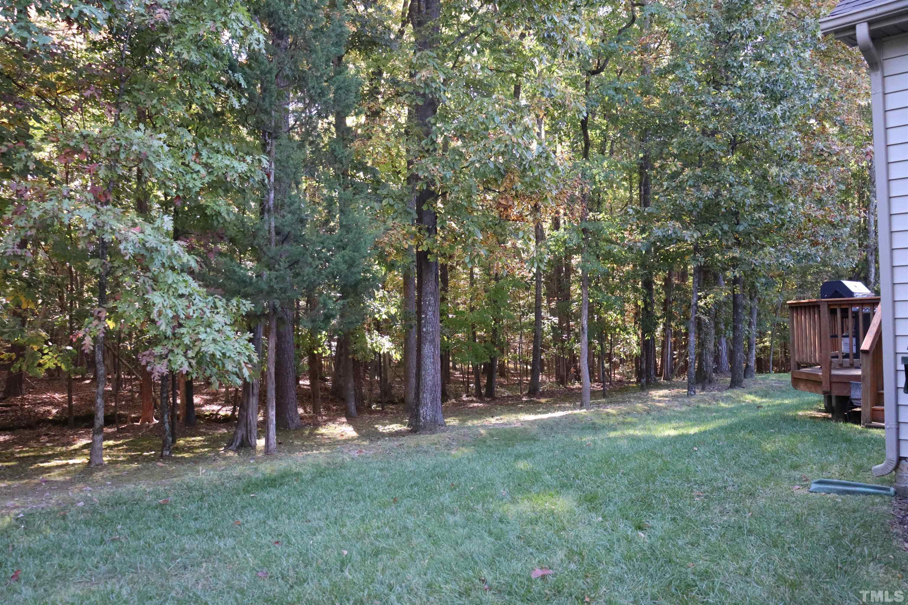 8236 Clarks Branch Drive Raleigh, NC 27613 - Photo 3 of 25 a view of a park with large trees