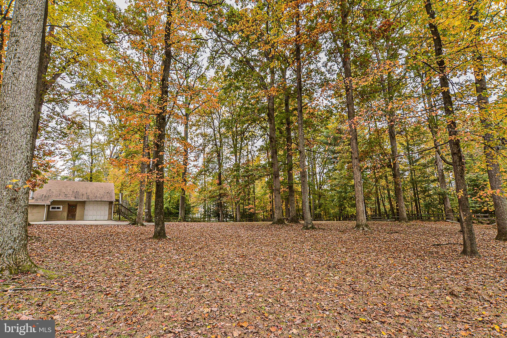 12410 Bennett Road Herndon, VA 20171 - Photo 47 of 56