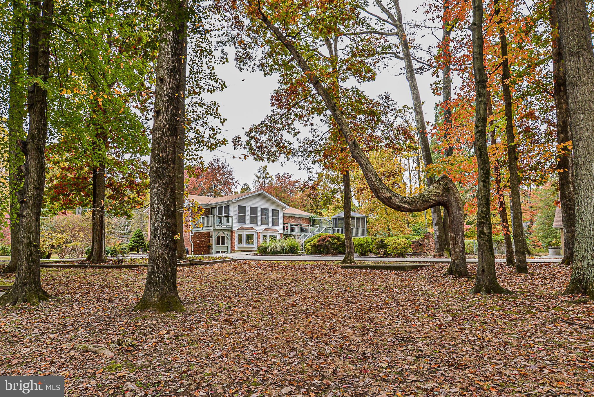12410 Bennett Road Herndon, VA 20171 - Photo 48 of 56