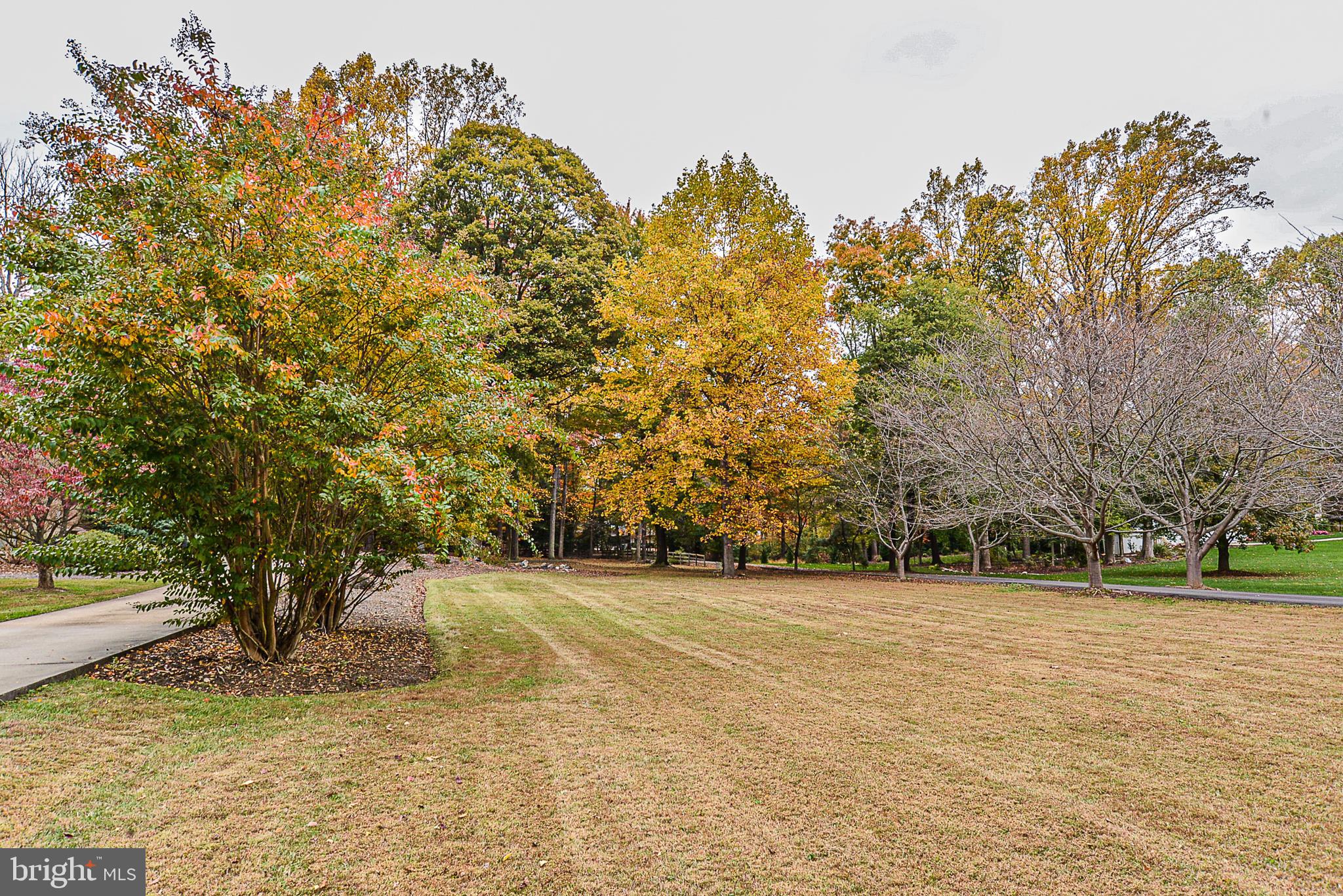12410 Bennett Road Herndon, VA 20171 - Photo 53 of 56