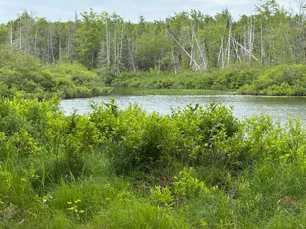 $65,000 | 0 Dead Streme, Cooper, ME 04657