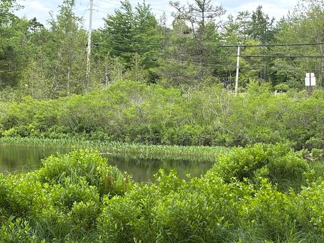 0 Dead Streme Cooper, ME 04657 - Photo 2 of 8 IMG_6930 (1)