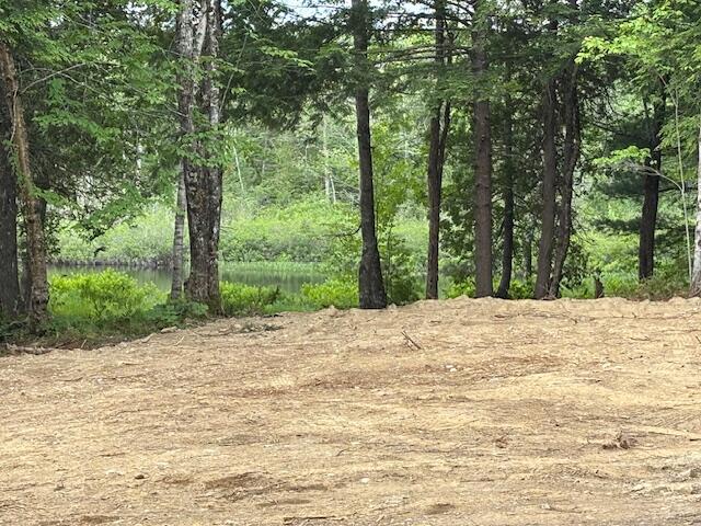 0 Dead Streme Cooper, ME 04657 - Photo 4 of 8 IMG_6935