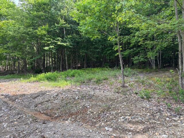 0 Dead Streme Cooper, ME 04657 - Photo 6 of 8 IMG_6916