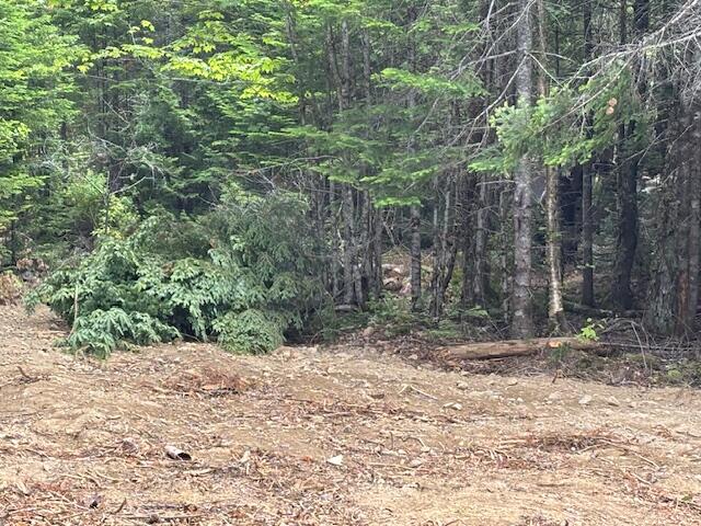 0 Dead Streme Cooper, ME 04657 - Photo 8 of 8 IMG_6934