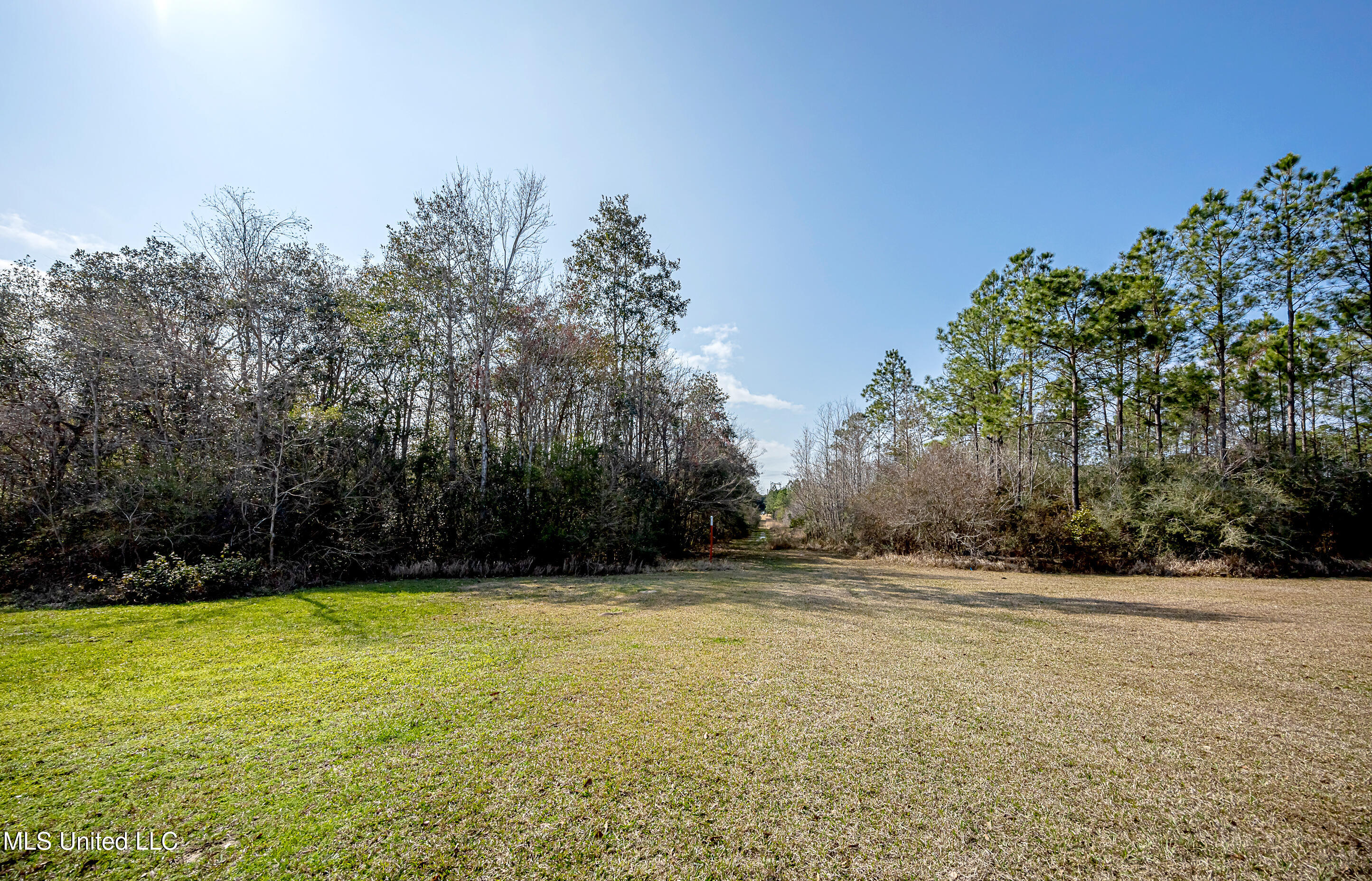 12025 Saracennia Road Moss Point, MS 39562 - Photo 103 of 108 IMG_9607