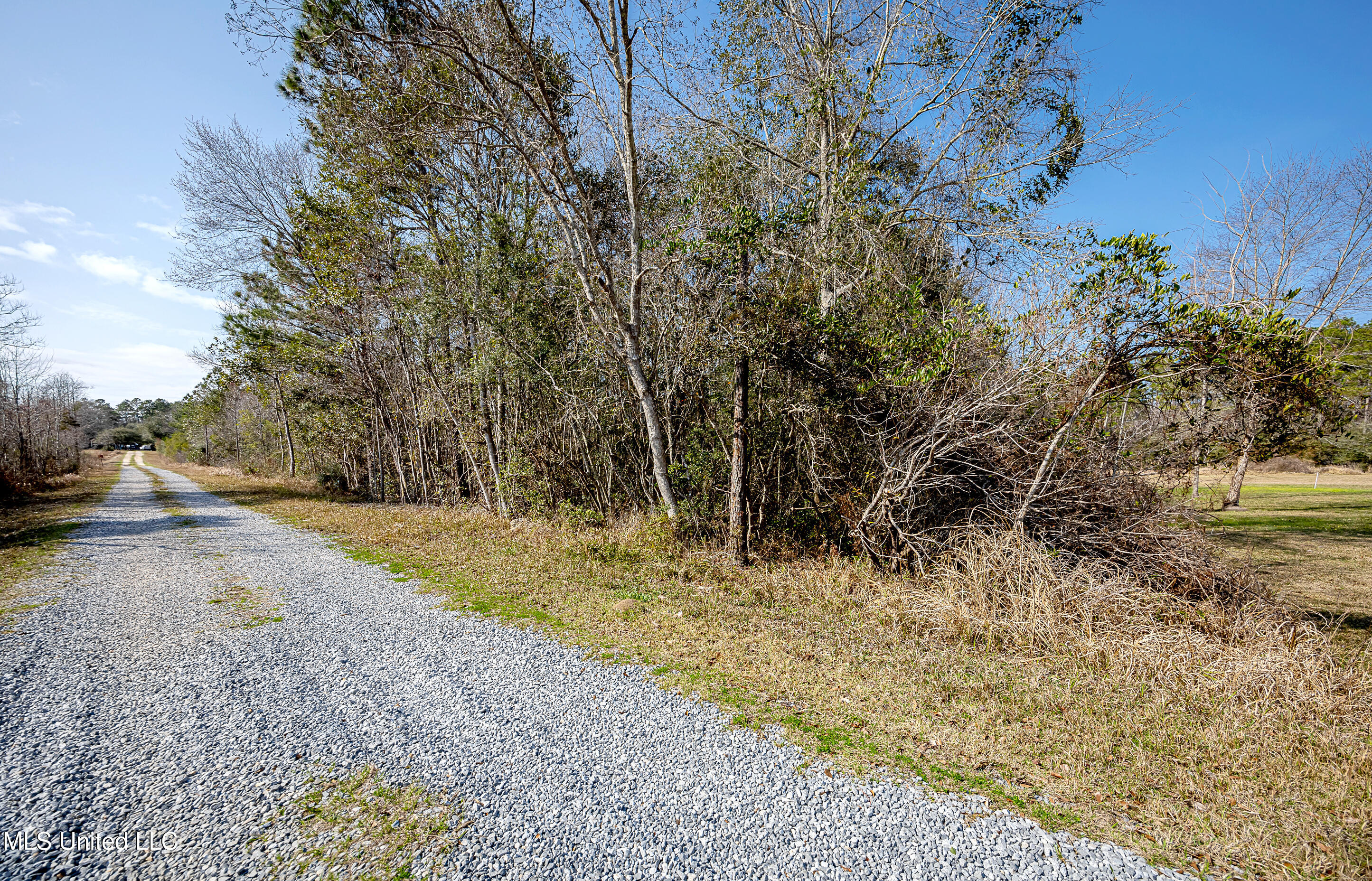 12025 Saracennia Road Moss Point, MS 39562 - Photo 104 of 108 IMG_9609