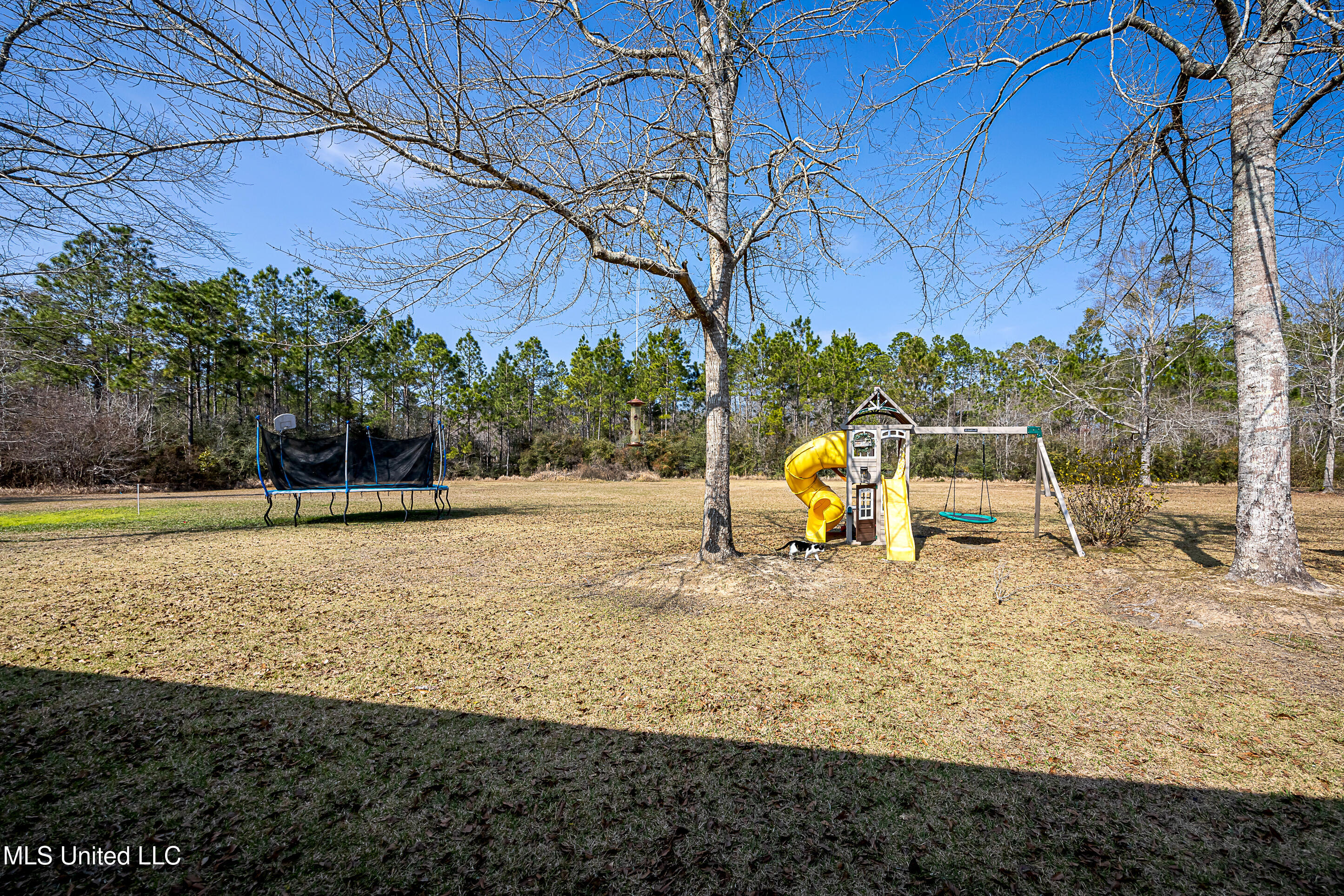 12025 Saracennia Road Moss Point, MS 39562 - Photo 64 of 108 IMG_9508
