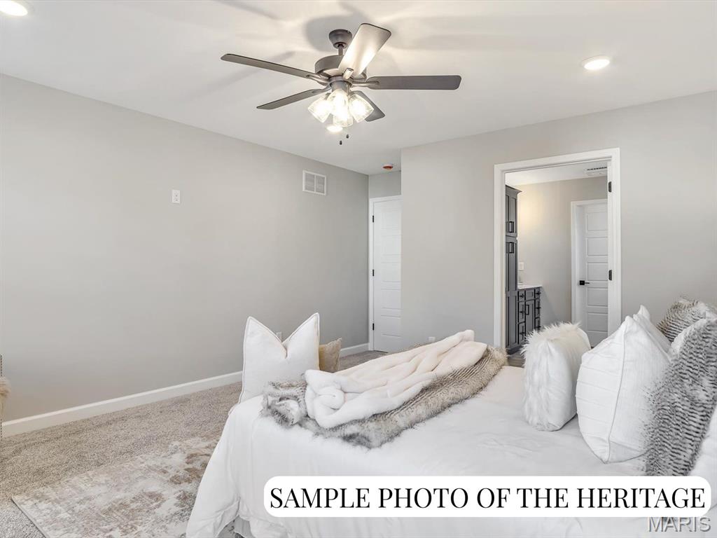 1017 Waymaker Lane Waterloo, IL 62298 - Photo 16 of 29
