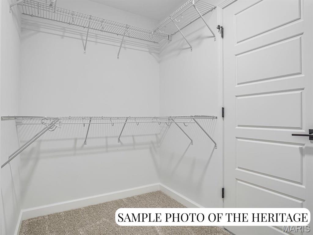 1017 Waymaker Lane Waterloo, IL 62298 - Photo 20 of 29