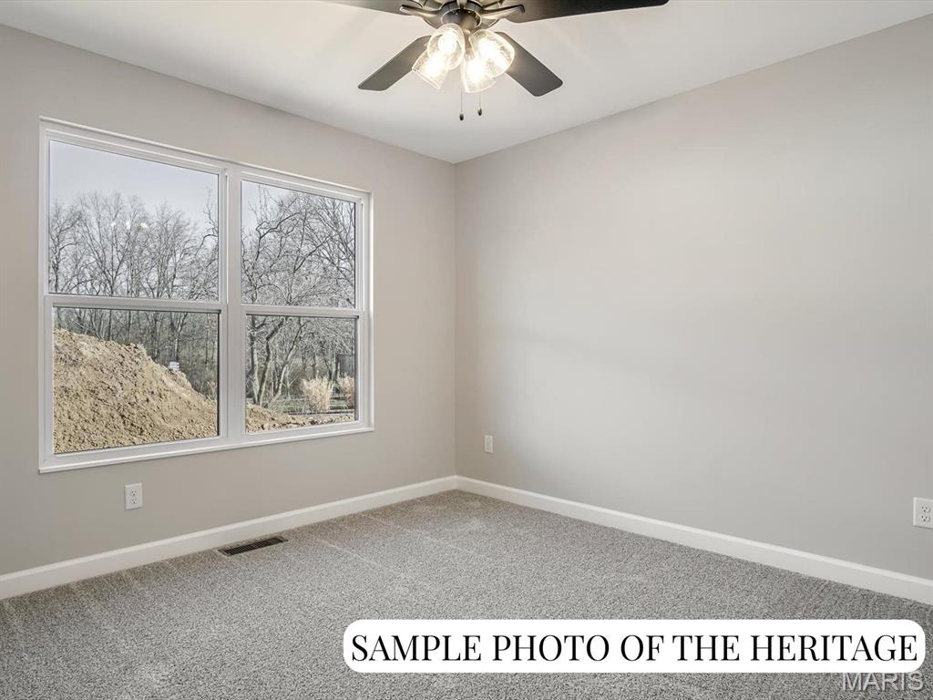 1017 Waymaker Lane Waterloo, IL 62298 - Photo 24 of 29