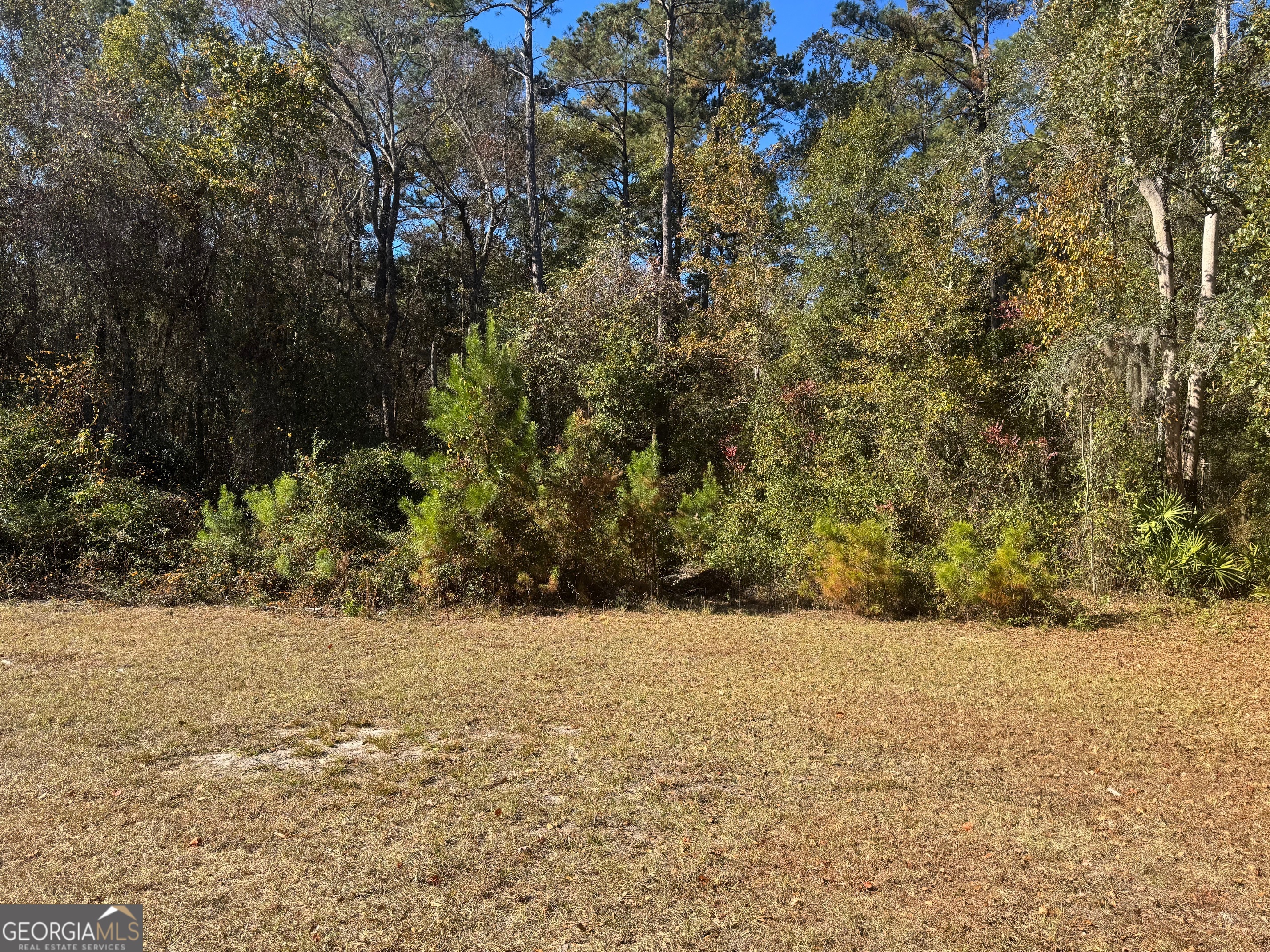 2199 Tom Crawford Road Hilliard, FL 32046 - Photo 4 of 18 a view of yard