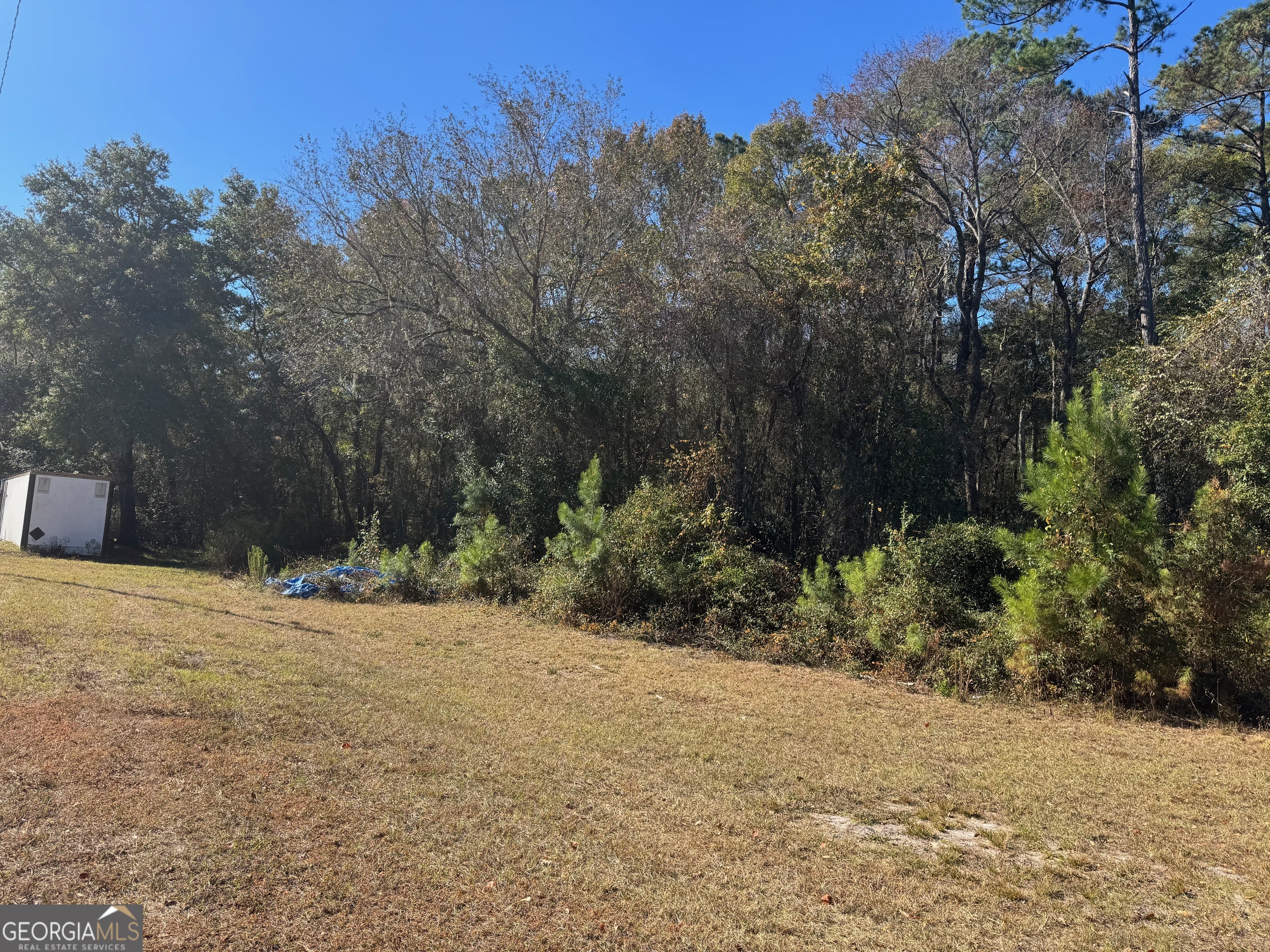 2199 Tom Crawford Road Hilliard, FL 32046 - Photo 9 of 18 a view of a backyard of a house