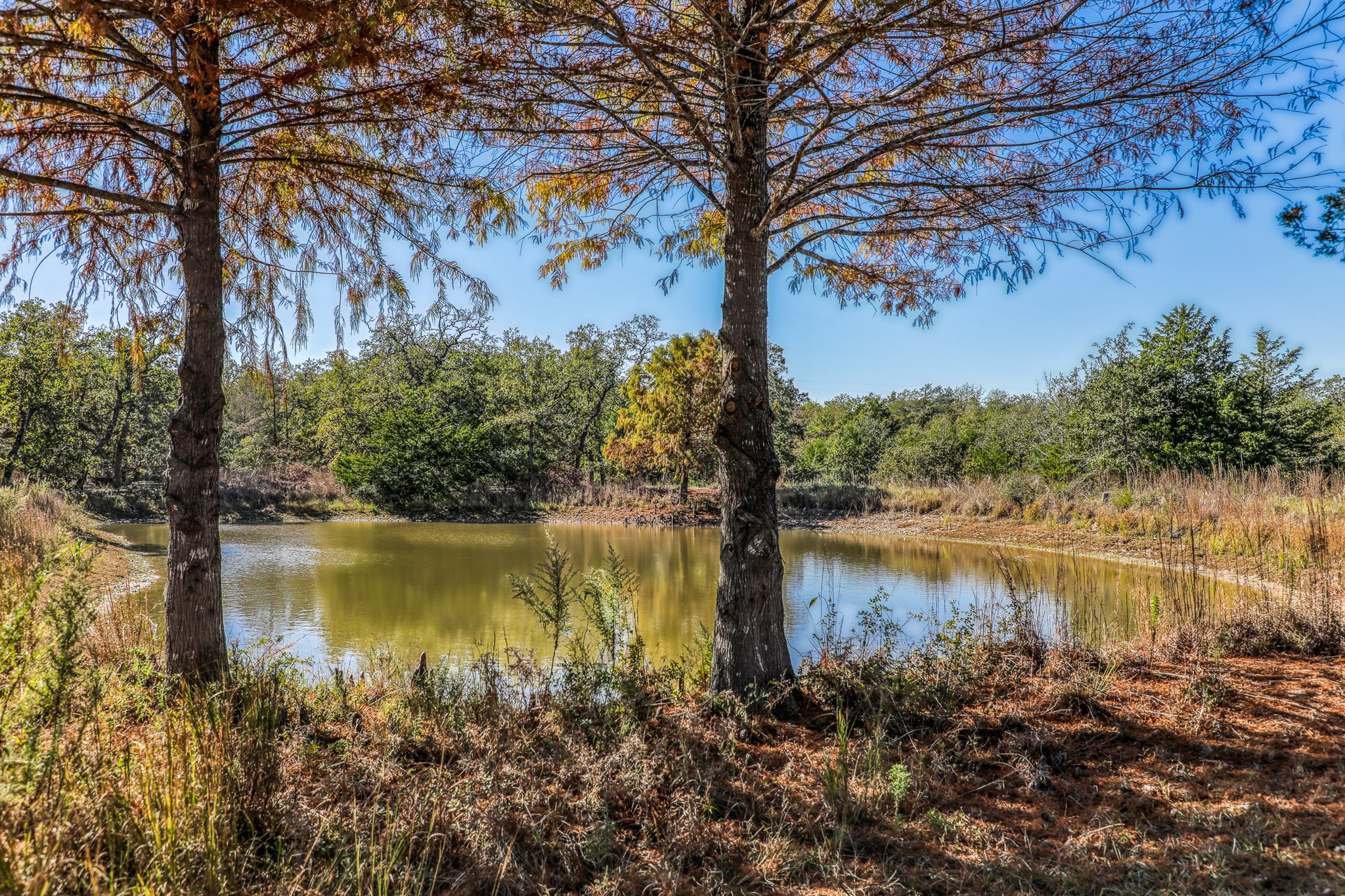 1745 Schoenberg Road Carmine, TX 78932 - Photo 19 of 30 a view of a lake with houses in the back