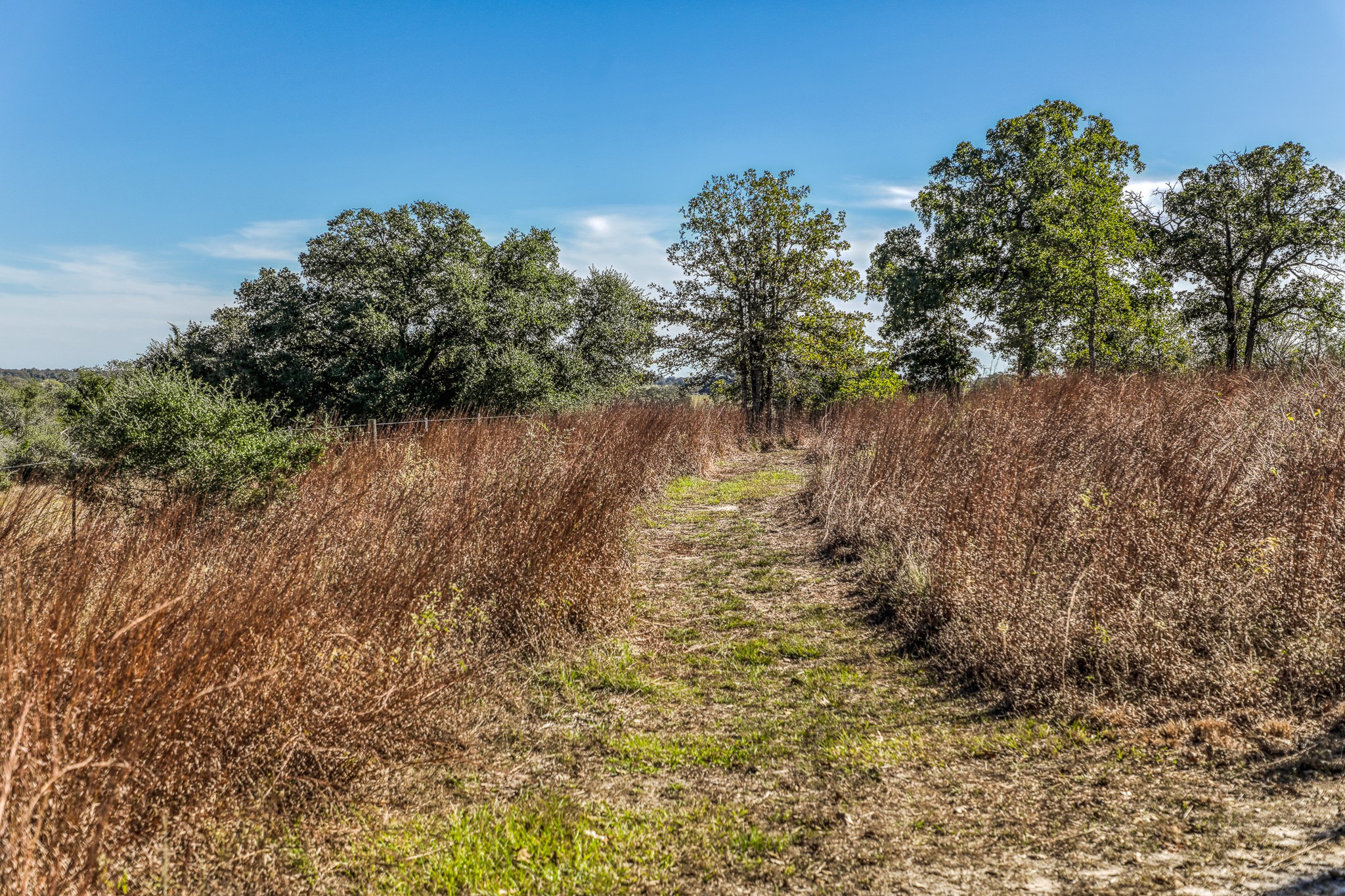 1745 Schoenberg Road Carmine, TX 78932 - Photo 23 of 30 a view of a lake with a building in the background