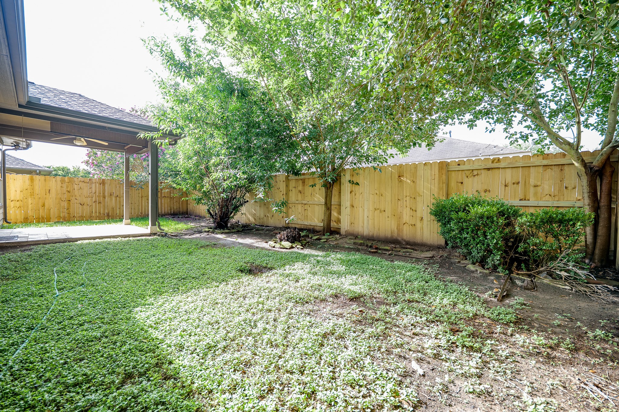 20127 Jasper Oaks Drive Cypress, TX 77433 - Photo 31 of 32 a view of backyard with potted plants and a large tree