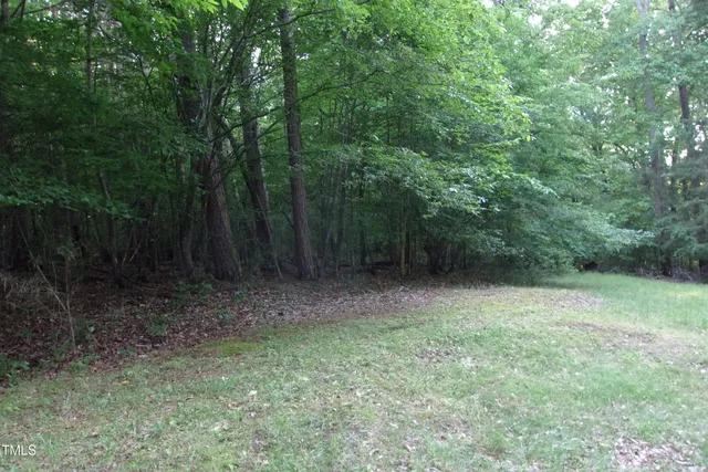 a view of outdoor space and yard