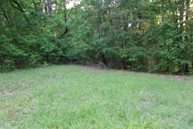 a view of a green field with lots of bushes