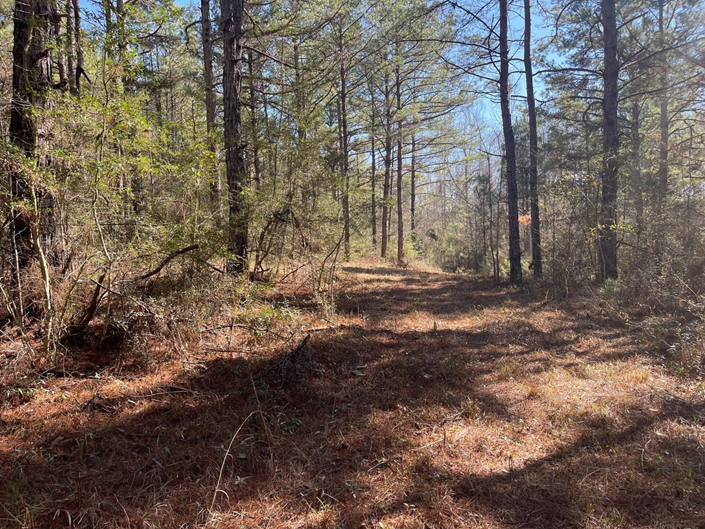1048 Greens Creek Road Carson, MS 39427 - Photo 6 of 35 Photo 6