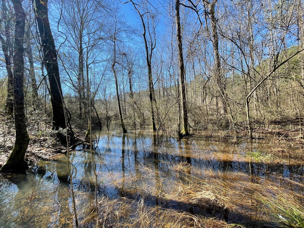1048 Greens Creek Road Carson, MS 39427 - Photo 7 of 35 Photo 7