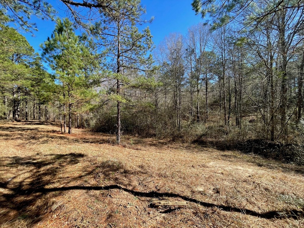 1048 Greens Creek Road Carson, MS 39427 - Photo 8 of 35 Photo 8