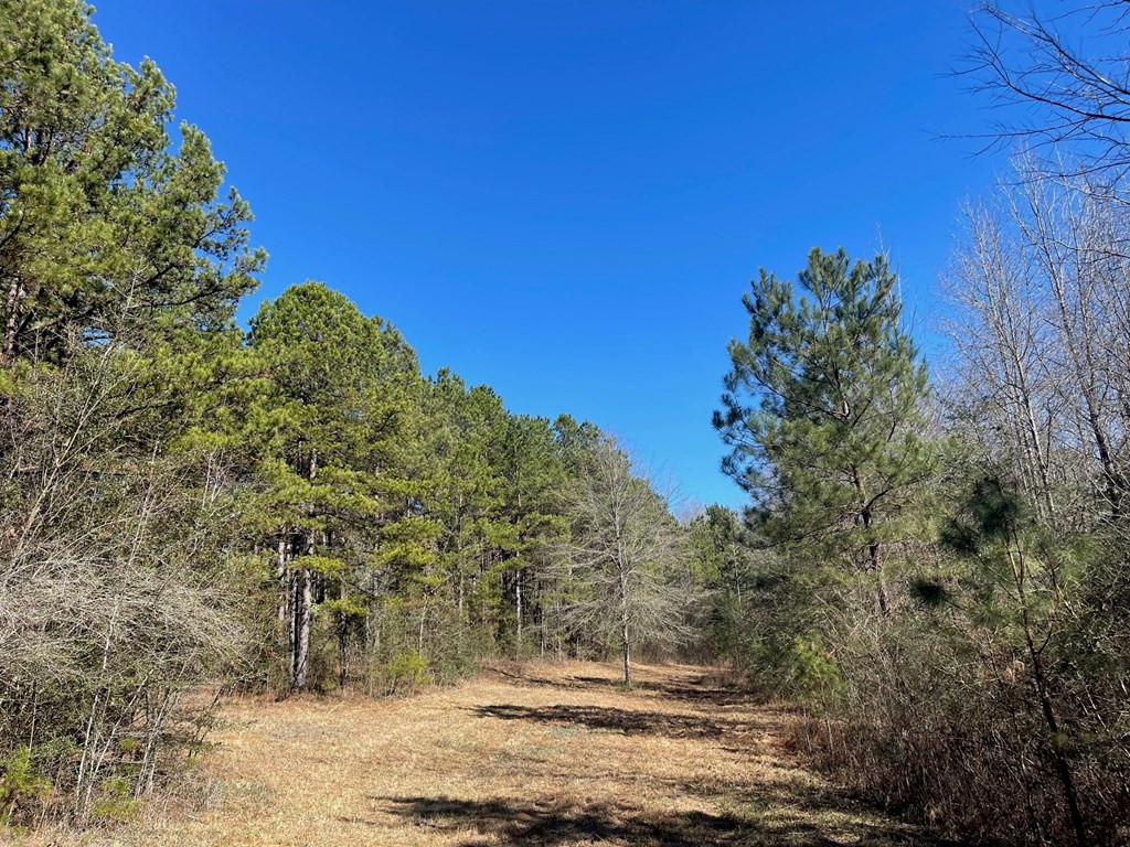 1048 Greens Creek Road Carson, MS 39427 - Photo 9 of 35 Photo 9