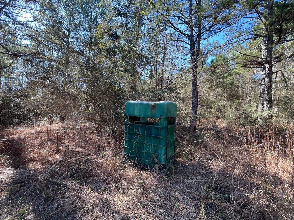 1048 Greens Creek Road Carson, MS 39427 - Photo 10 of 35 Photo 10