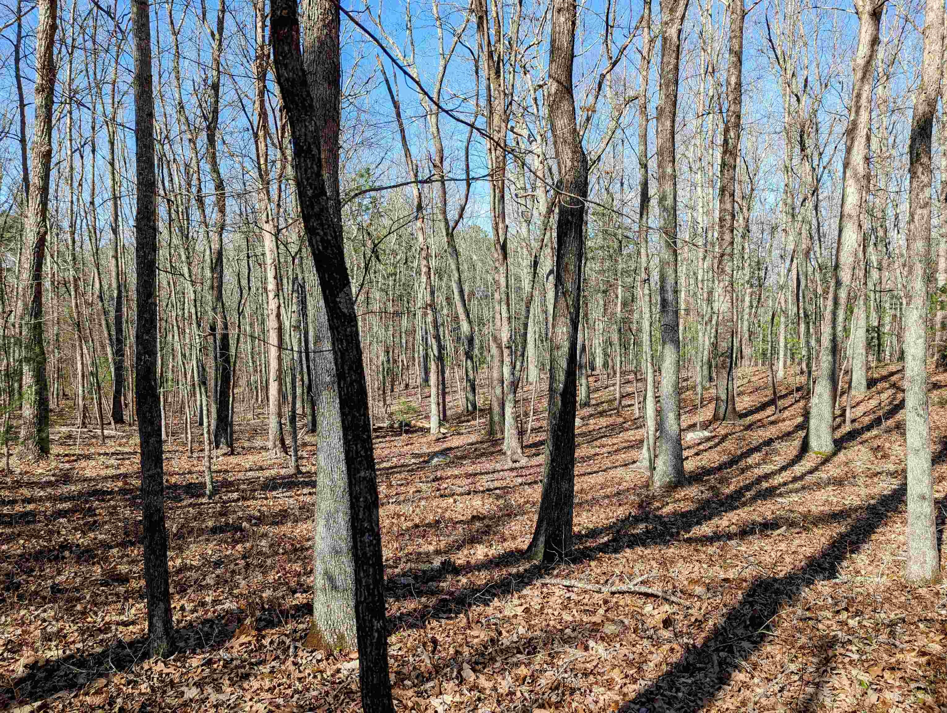 Tbd Pres Jackson Road Max Meadows, VA 24360 - Photo 11 of 12 Gallery Image 11