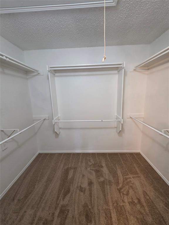 725 Trinity Lane Dallas, TX 75241 - Photo 8 of 10 a view of walk in closet