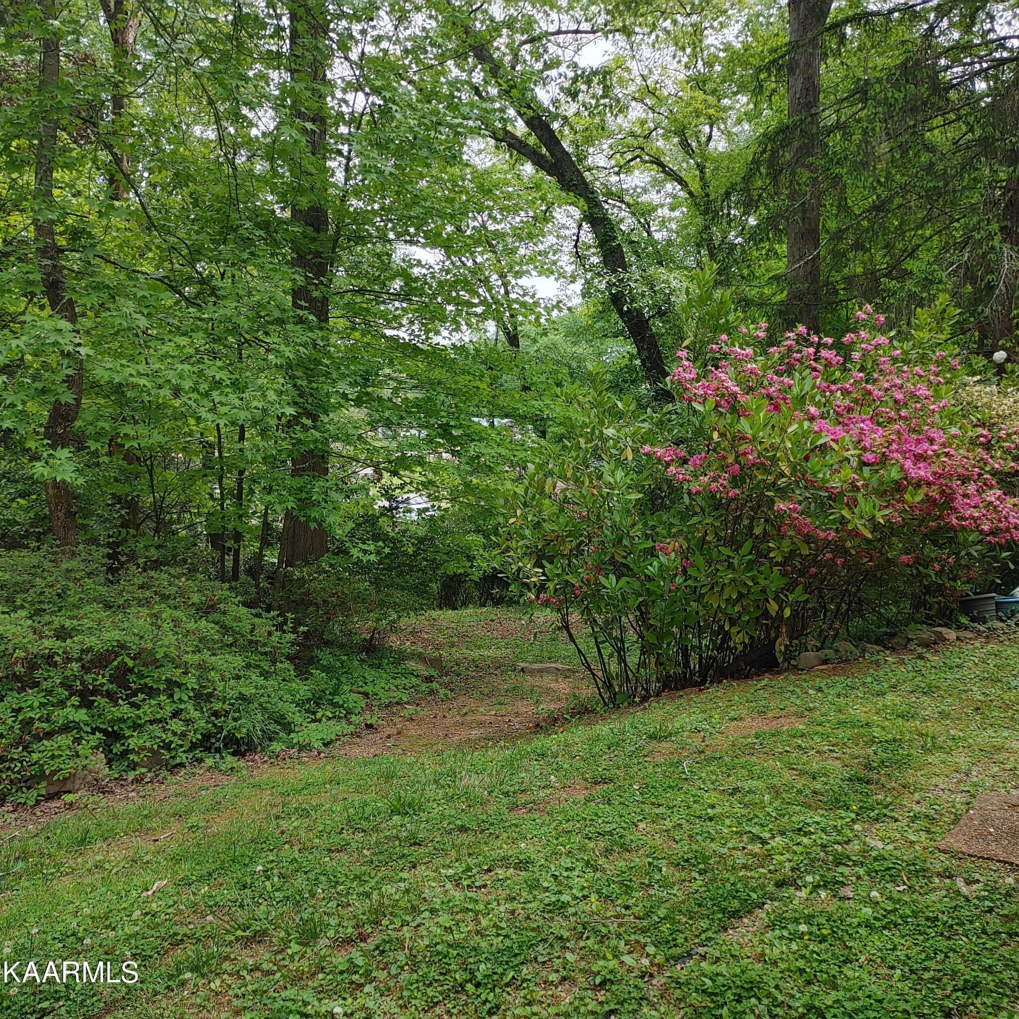 173 Lasalle Road Oak Ridge, TN 37830 - Photo 6 of 32 Gallery Image 6