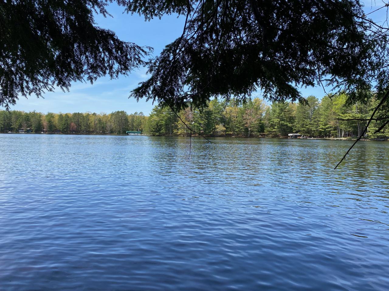 7263 Bonkowski Road Three Lakes, WI 54562 - Photo 6 of 43 Gallery Image 6