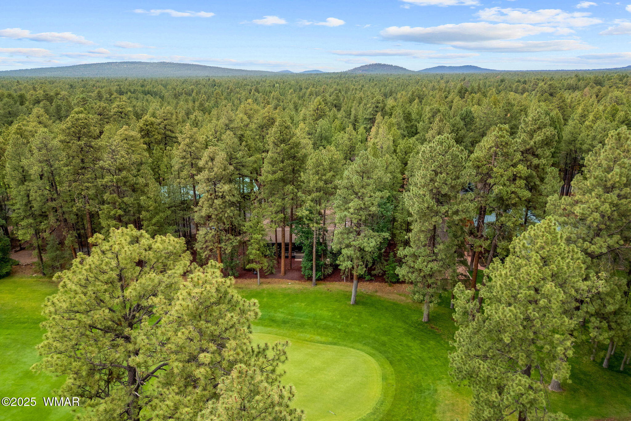 7161 Indian Bend Road Pinetop, AZ 85935 - Photo 41 of 48 7161IndianBendRd-Pinetop-AZ-43