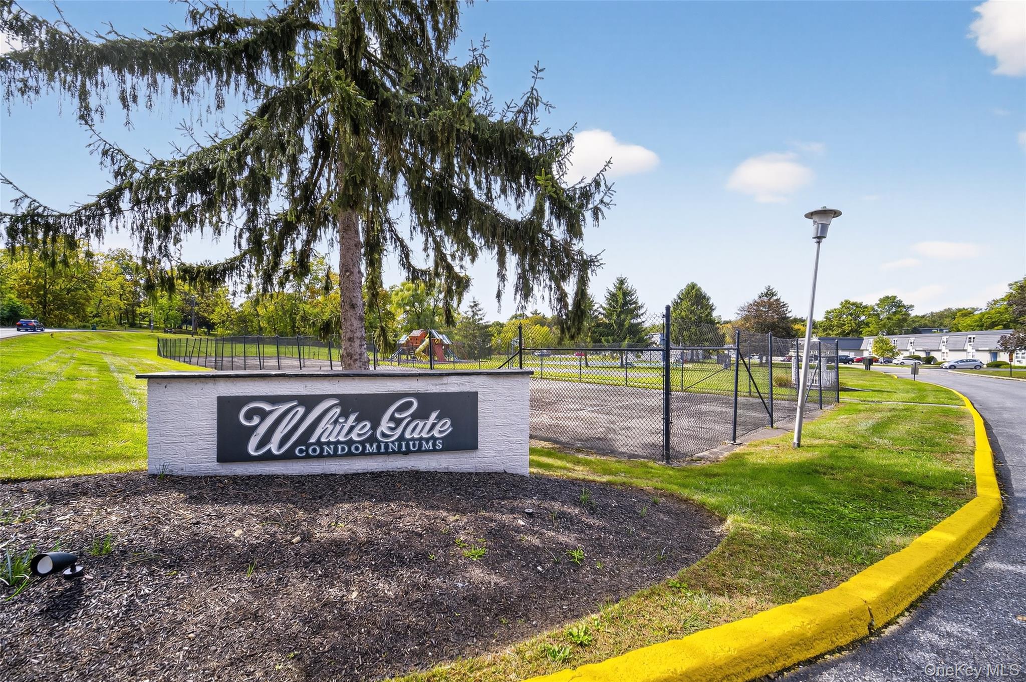 a view of a park with palm tree