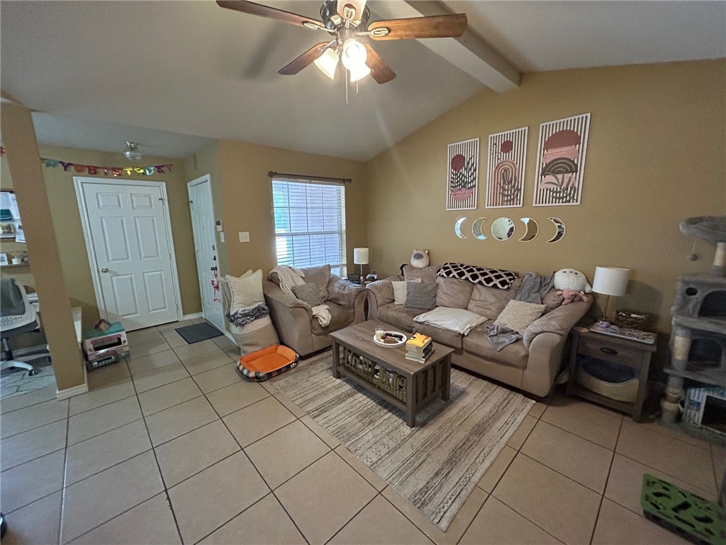 919 Sun Meadows Street College Station, TX 77845 - Photo 2 of 21